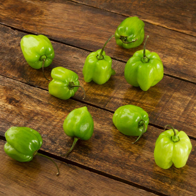 Habanero Pepper - (3-bundle)