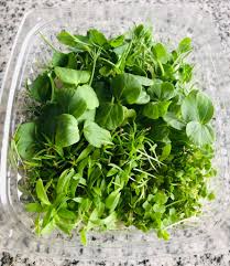 Microgreens (burbuja)