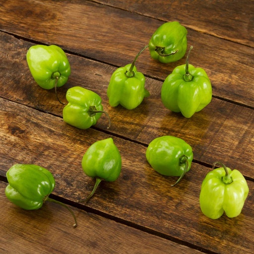 Chile Habanero - (3pz)